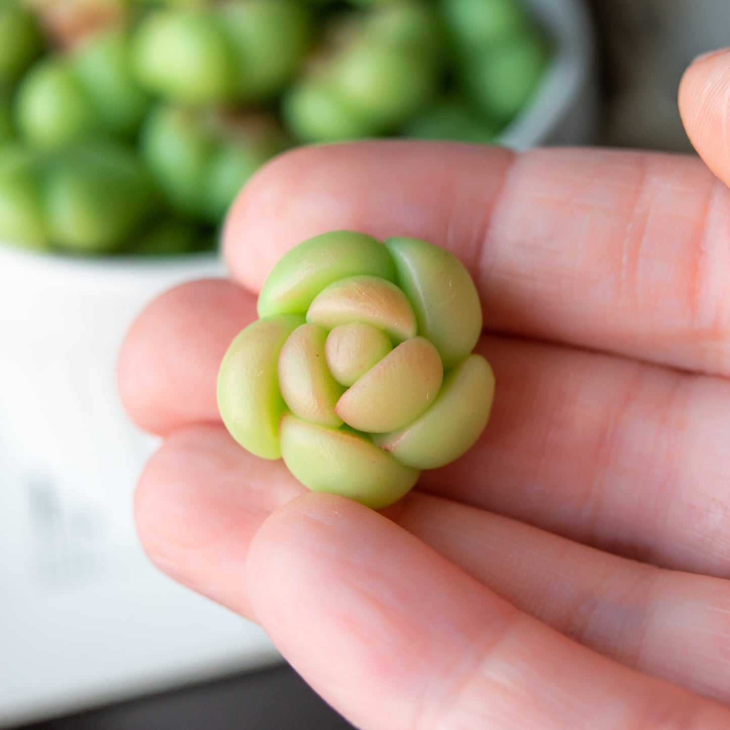 Succulent Cabochons in Polymer Clay, 23mm Faux Plants For Crafts, Decor, Etc