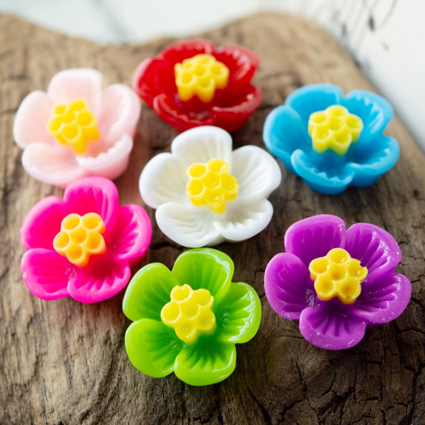 16mm Plum Blossom Flower Cabochons in Two-Tone Resin