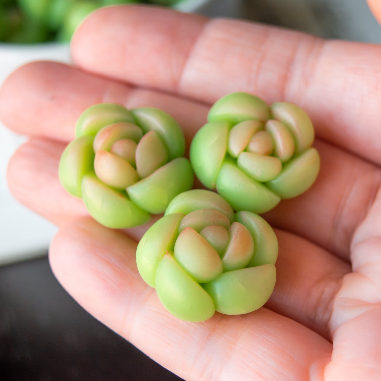 Succulent Cabochons in Polymer Clay, 23mm Faux Plants For Crafts, Decor, Etc