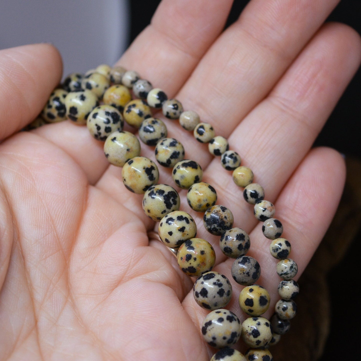 Dalmatian Jasper Beads, Choose 4mm, 6mm, or 8mm 15" Strand